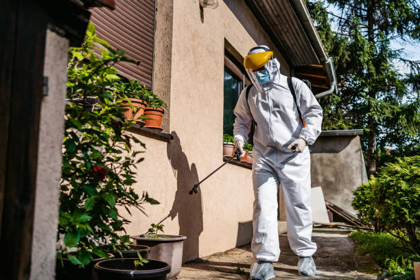 Professional Pest Control in Northwoods, MO